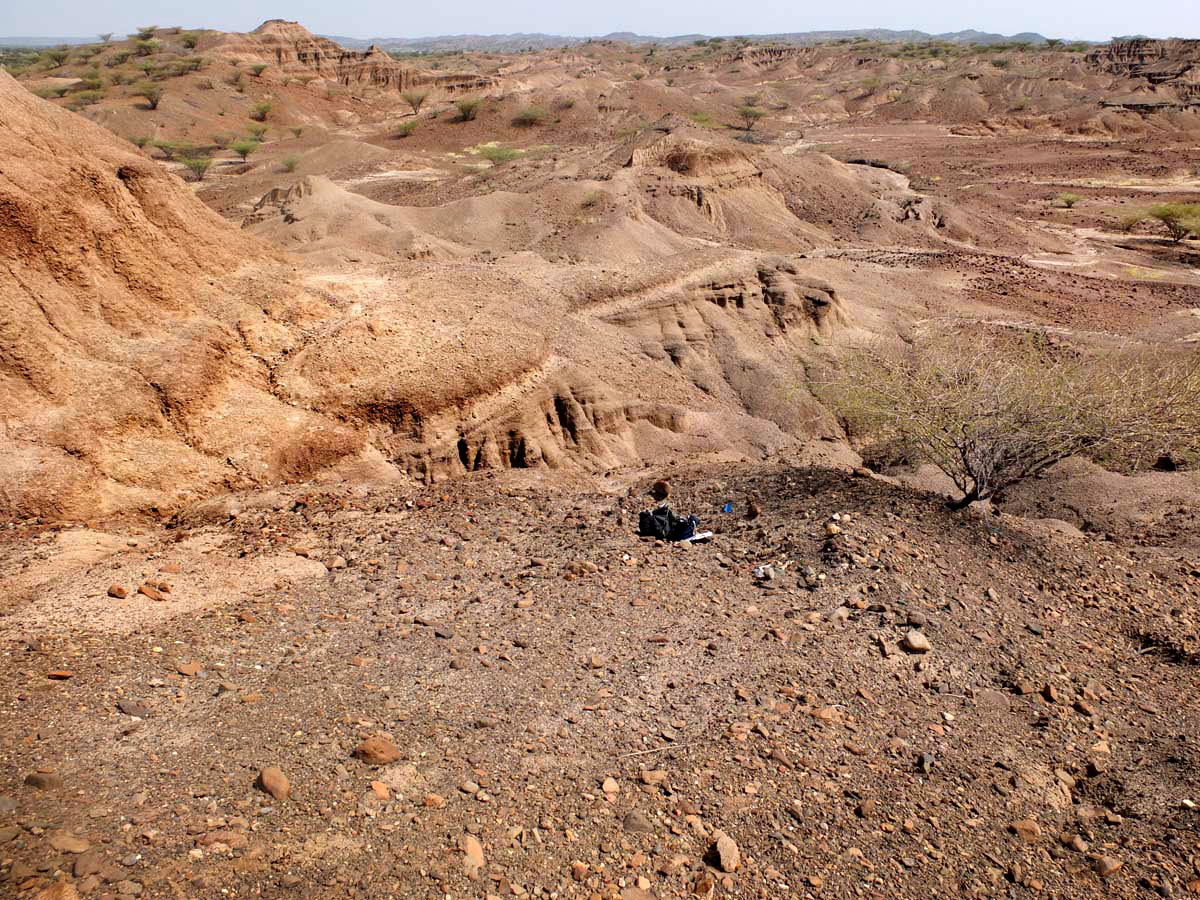 Pliocene sedimentary sequence on the western shore of Lake Turkana